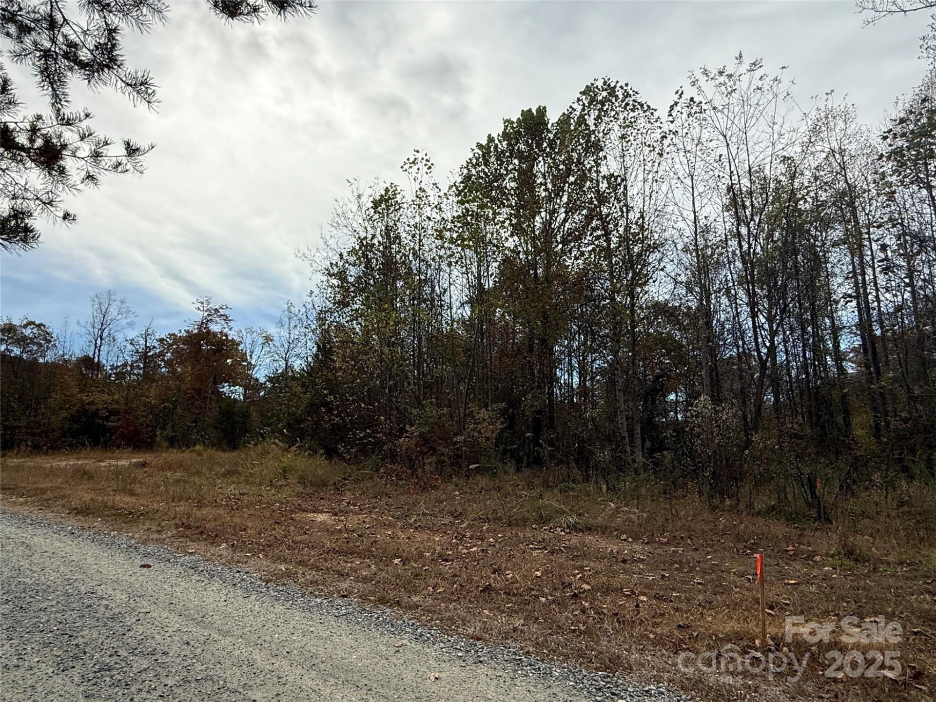 Lot # 3 West Legacy Drive #3 - Photo 8