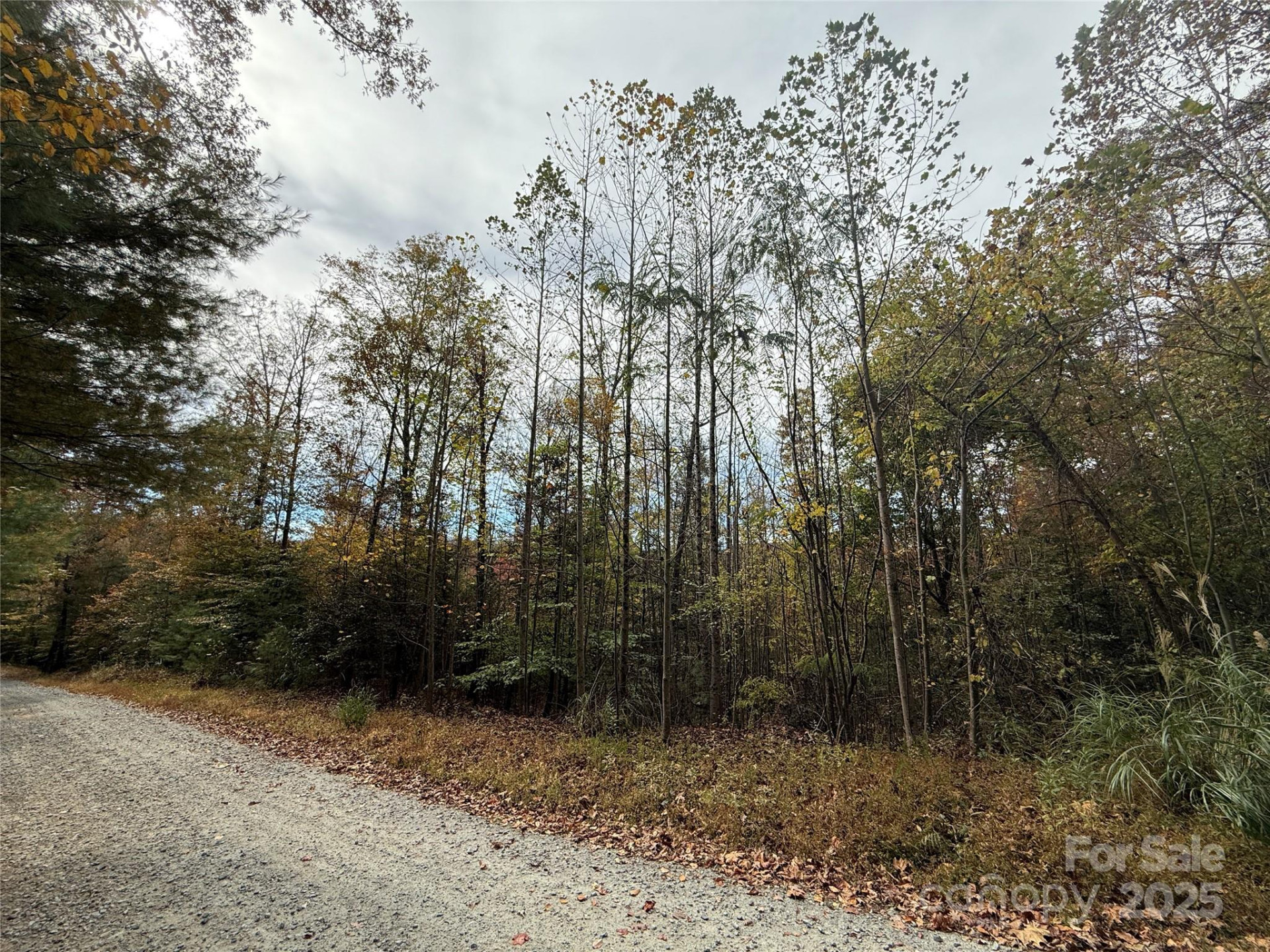 Lot # 4 West Legacy Drive #4 - Photo 11