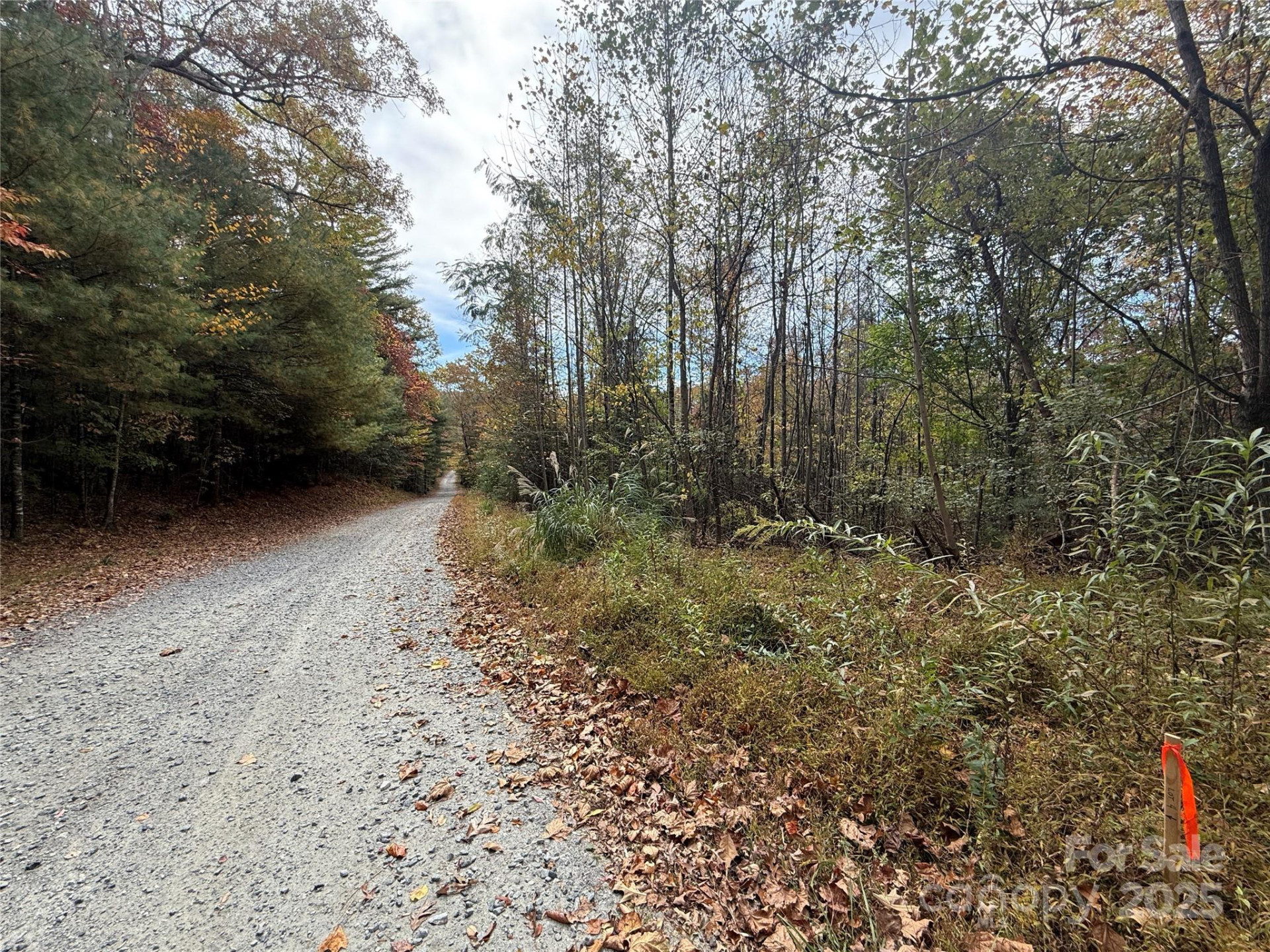 Lot # 4 West Legacy Drive #4 - Photo 13