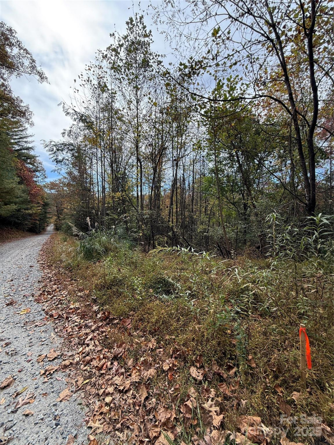 Lot # 4 West Legacy Drive #4 - Photo 14