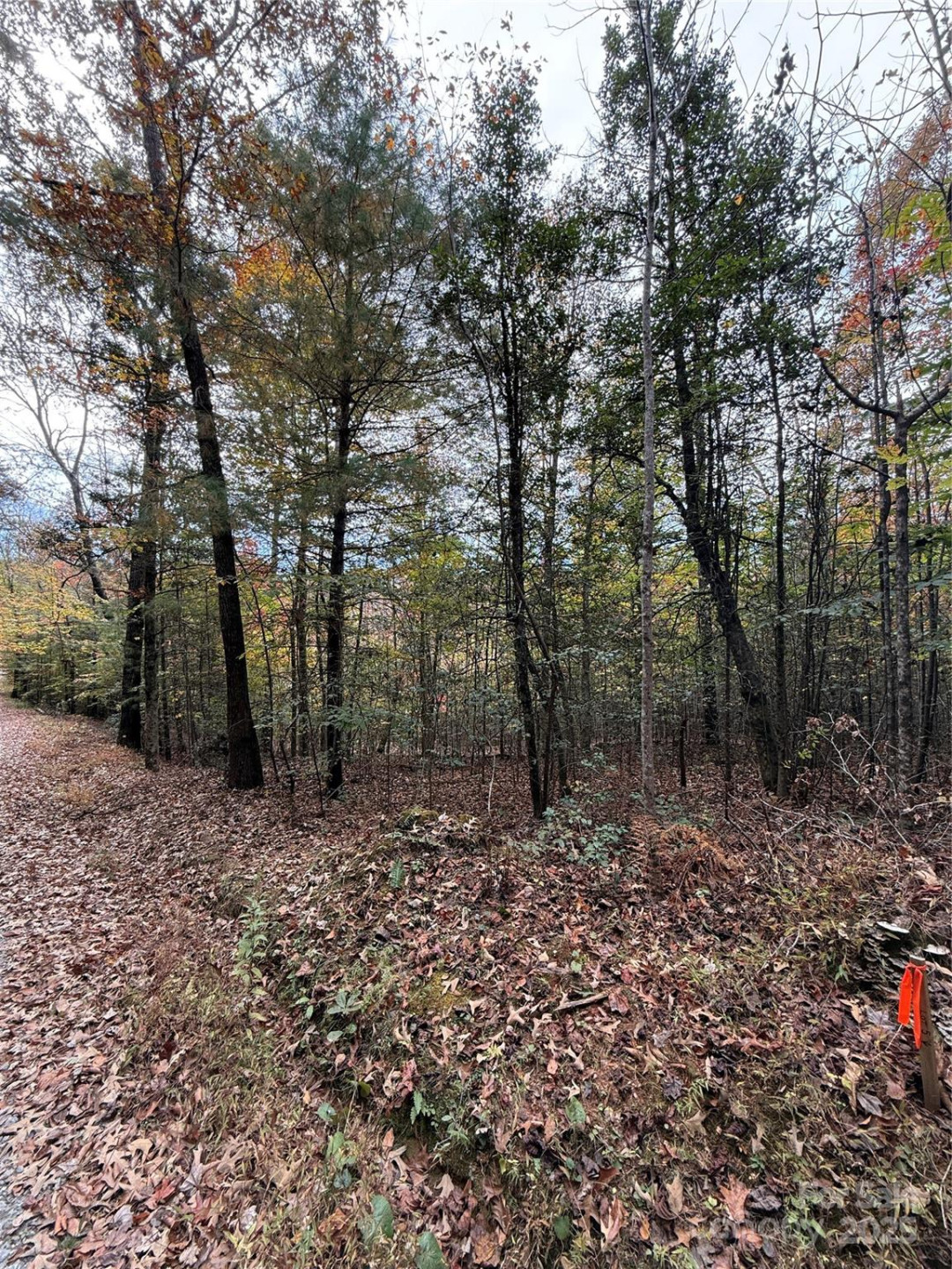 Lot # 4 West Legacy Drive #4 - Photo 3