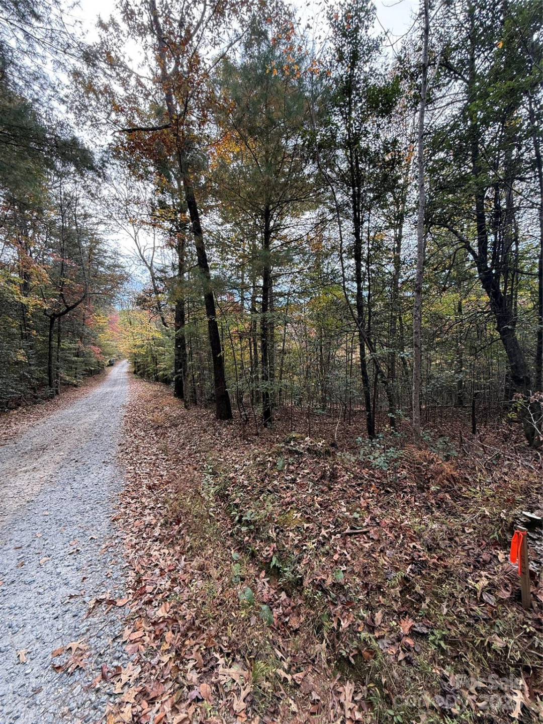 Lot # 4 West Legacy Drive #4 - Photo 4