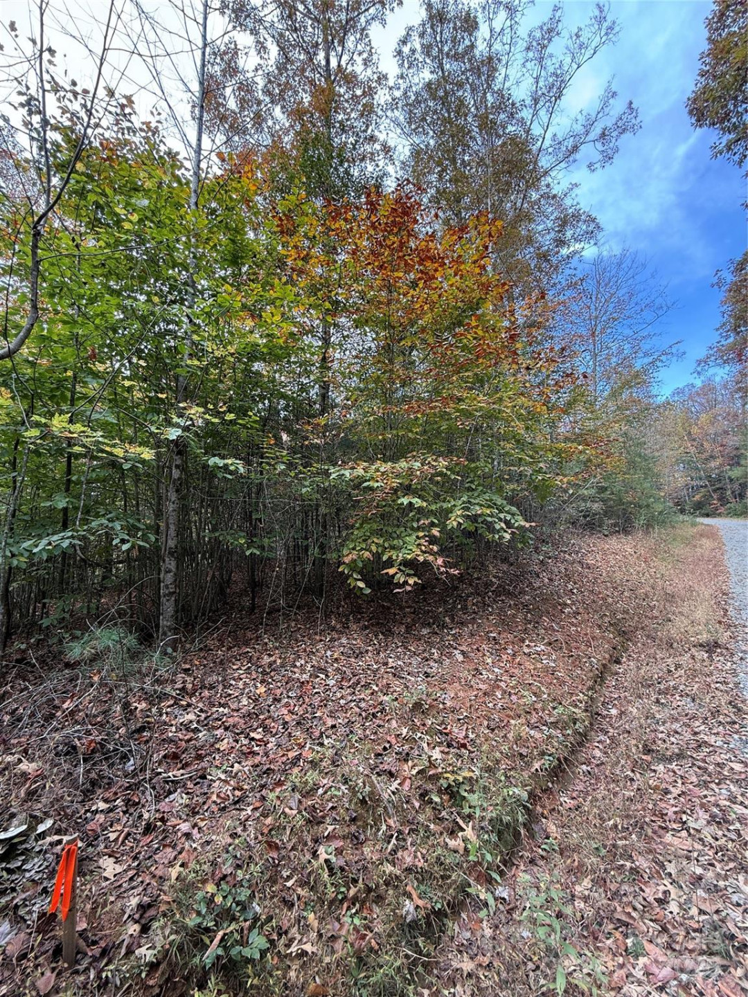 Lot # 4 West Legacy Drive #4 - Photo 5