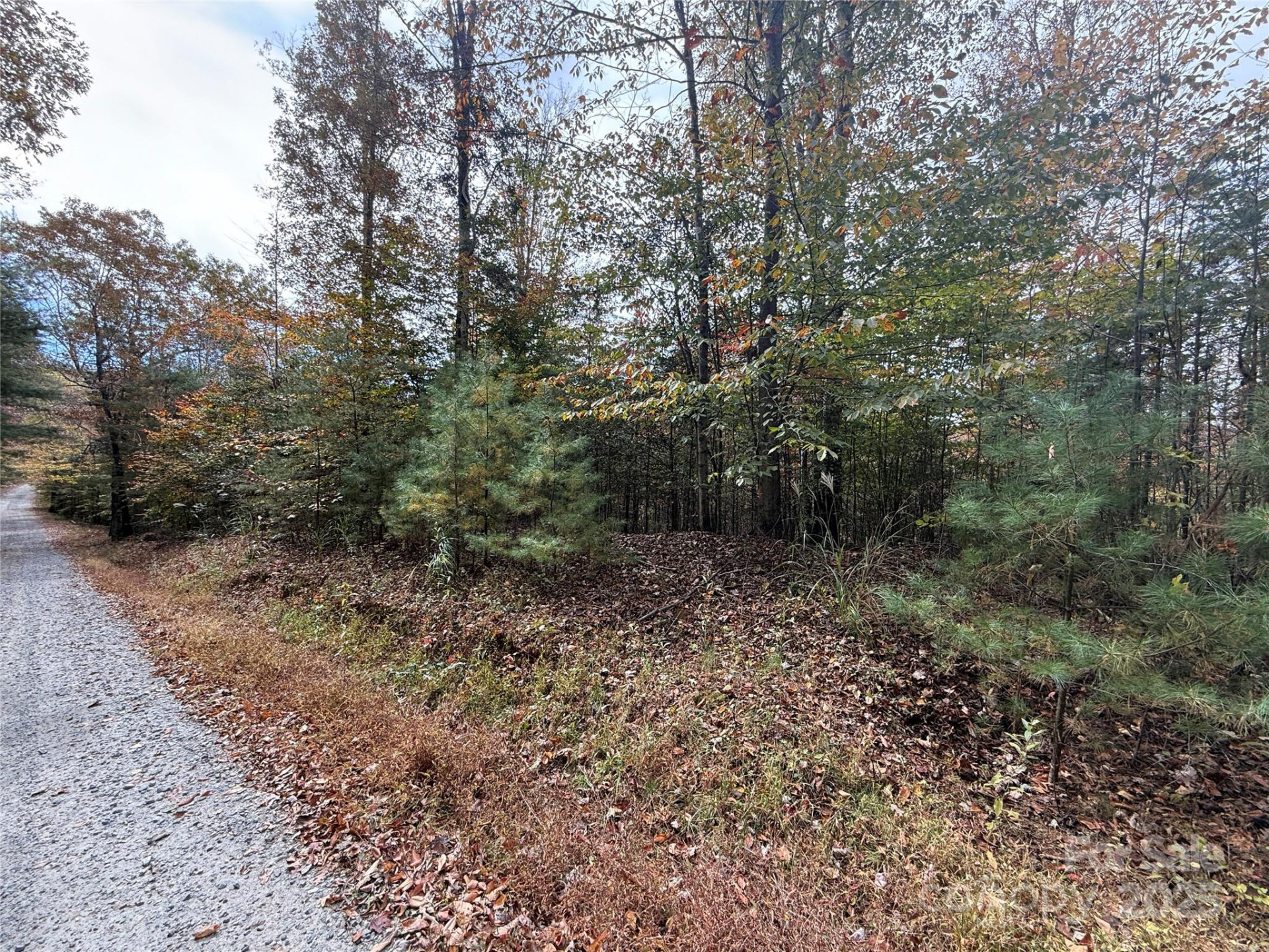 Lot # 4 West Legacy Drive #4 - Photo 7