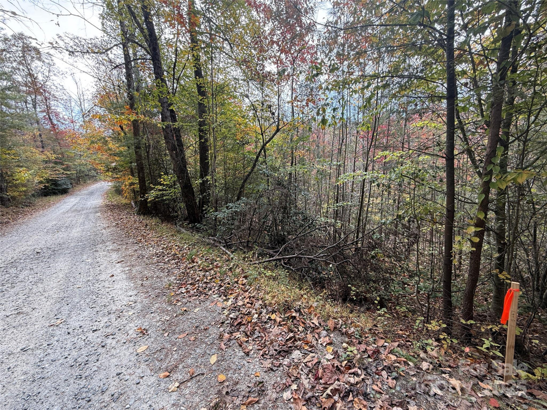 Lot # 5 West Legacy Drive #5 - Photo 11