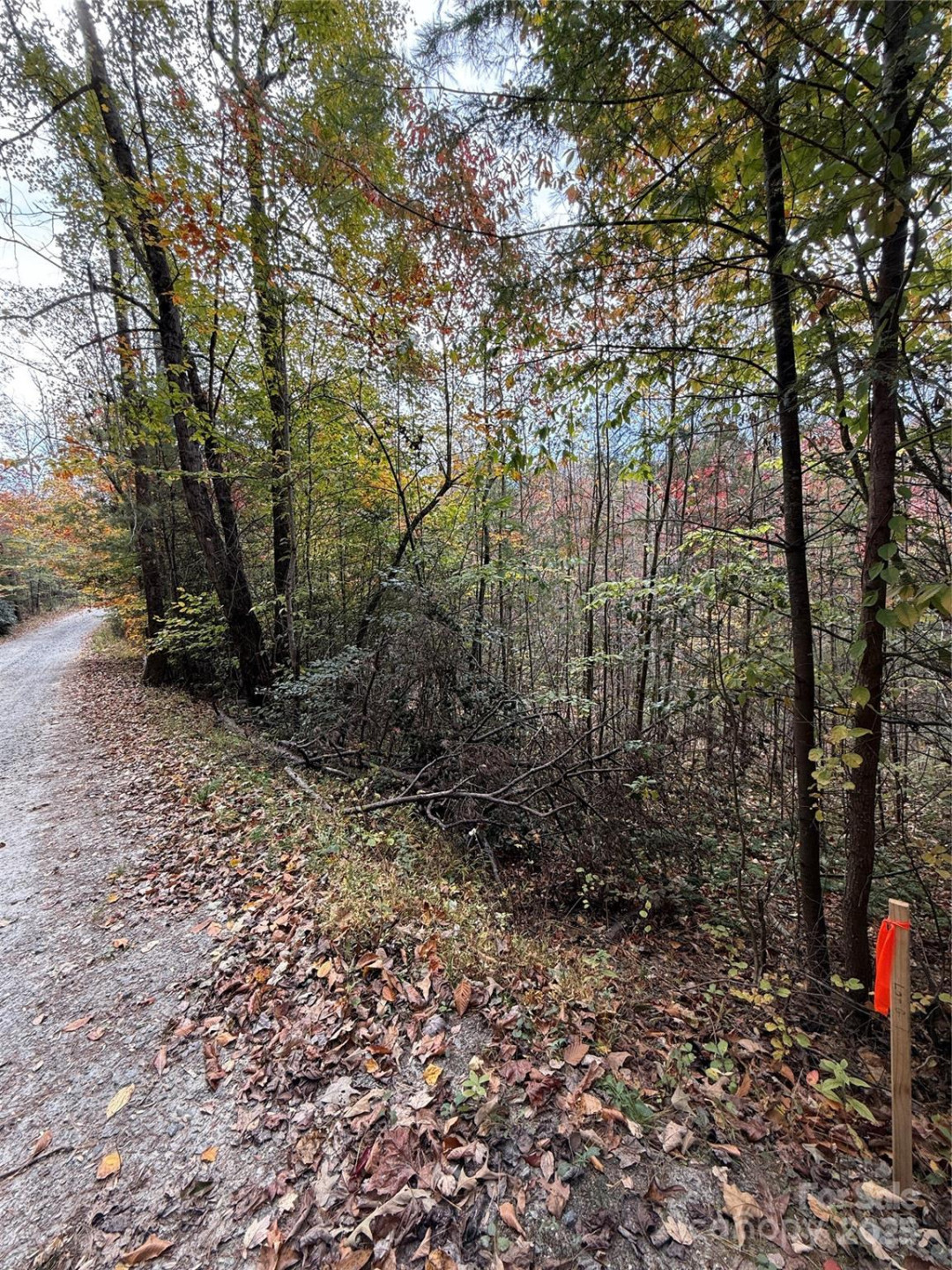 Lot # 5 West Legacy Drive #5 - Photo 13