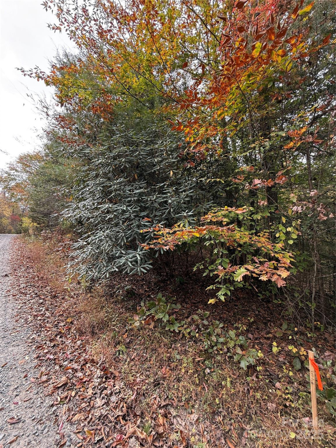 Lot # 5 West Legacy Drive #5 - Photo 3