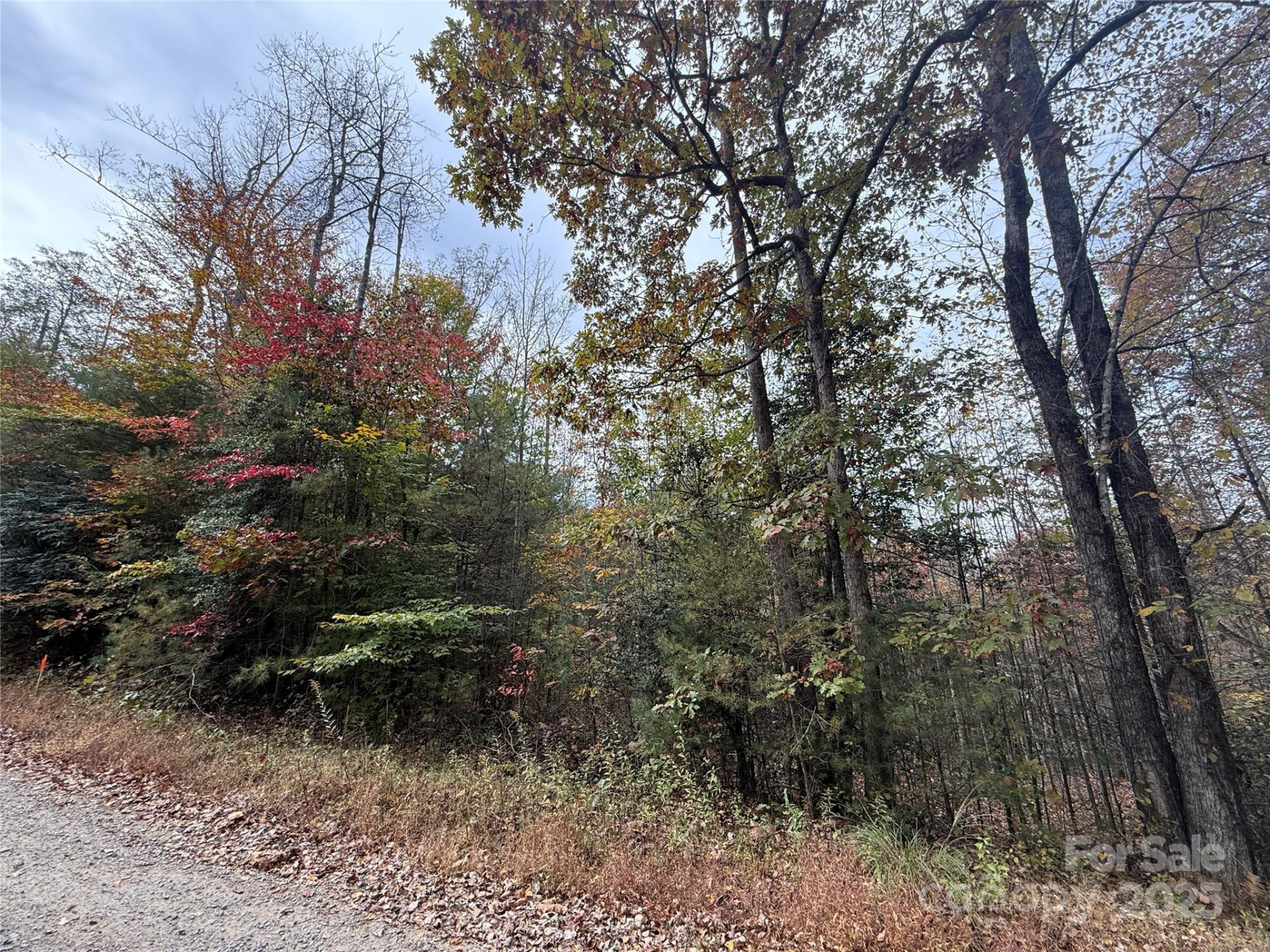 Lot # 5 West Legacy Drive #5 - Photo 7