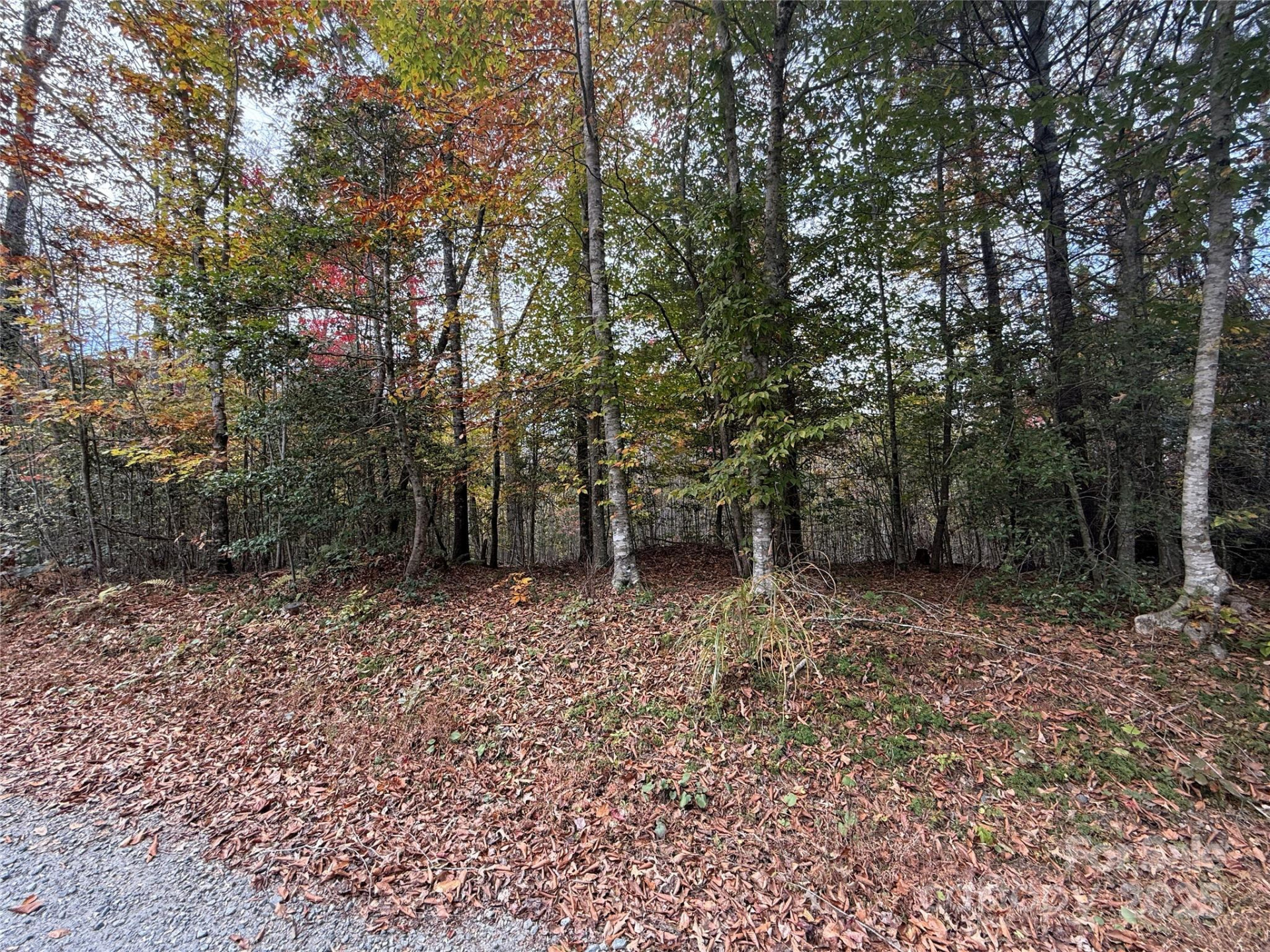 Lot # 6 West Legacy Drive #6 - Photo 11