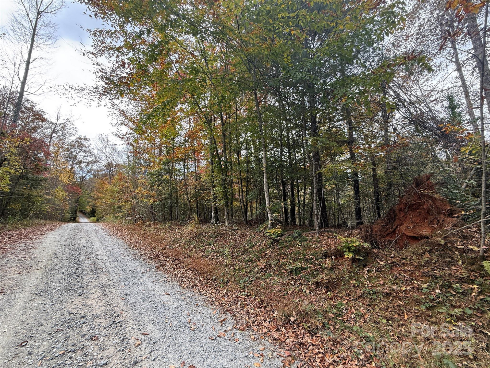 Lot # 6 West Legacy Drive #6 - Photo 12