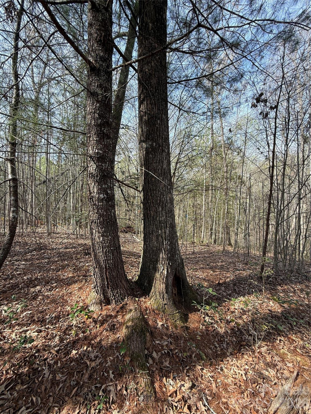 Lot # 6 West Legacy Drive #6 - Photo 41