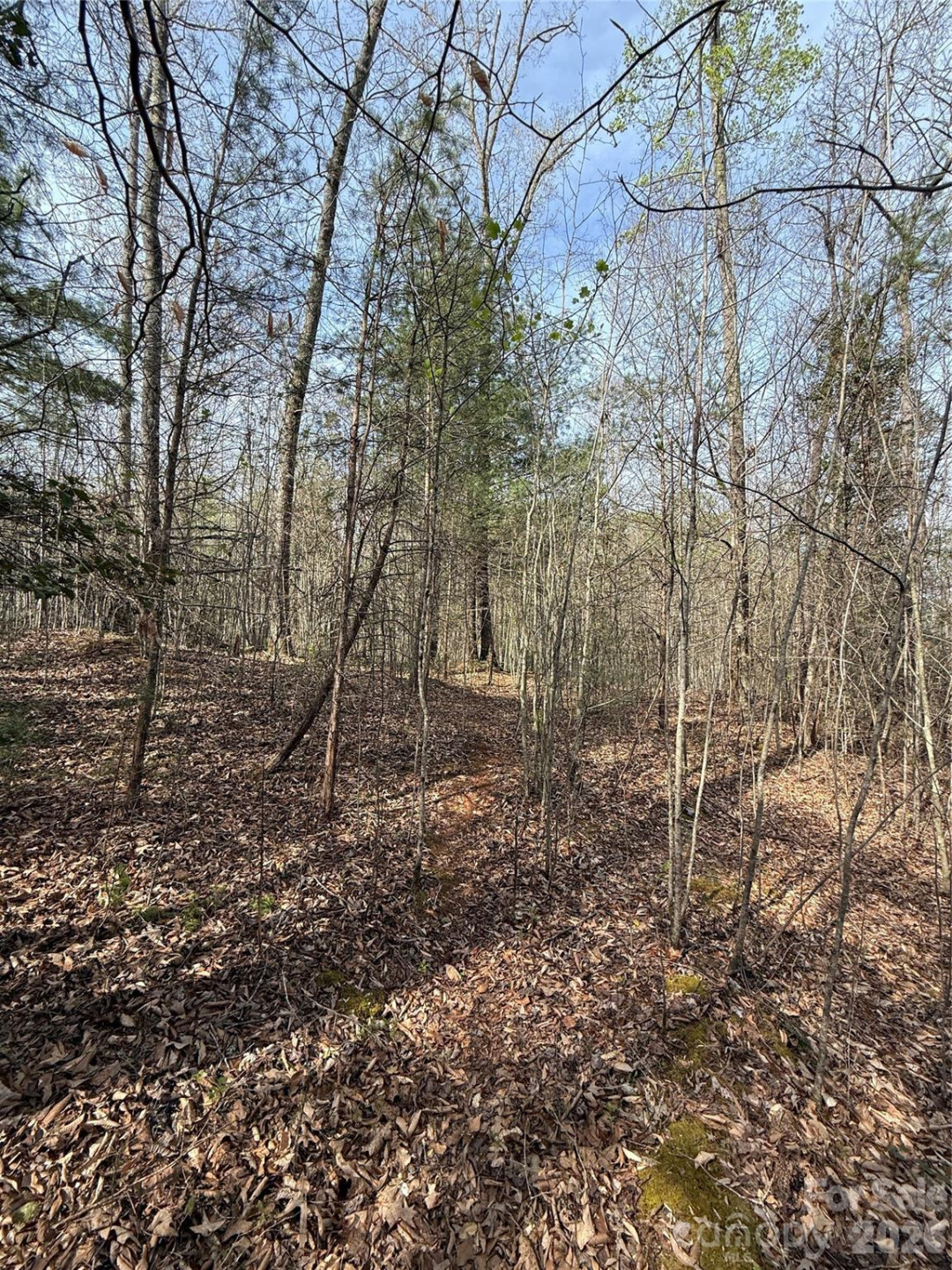 Lot # 6 West Legacy Drive #6 - Photo 43