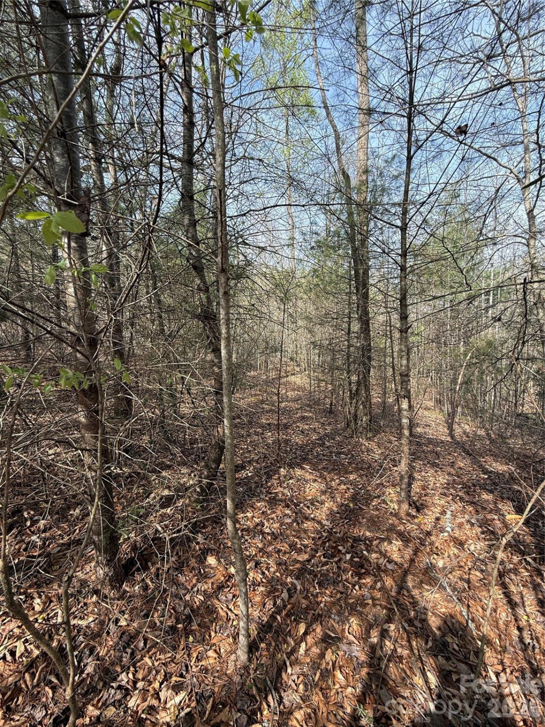 Lot # 6 West Legacy Drive #6 - Photo 44