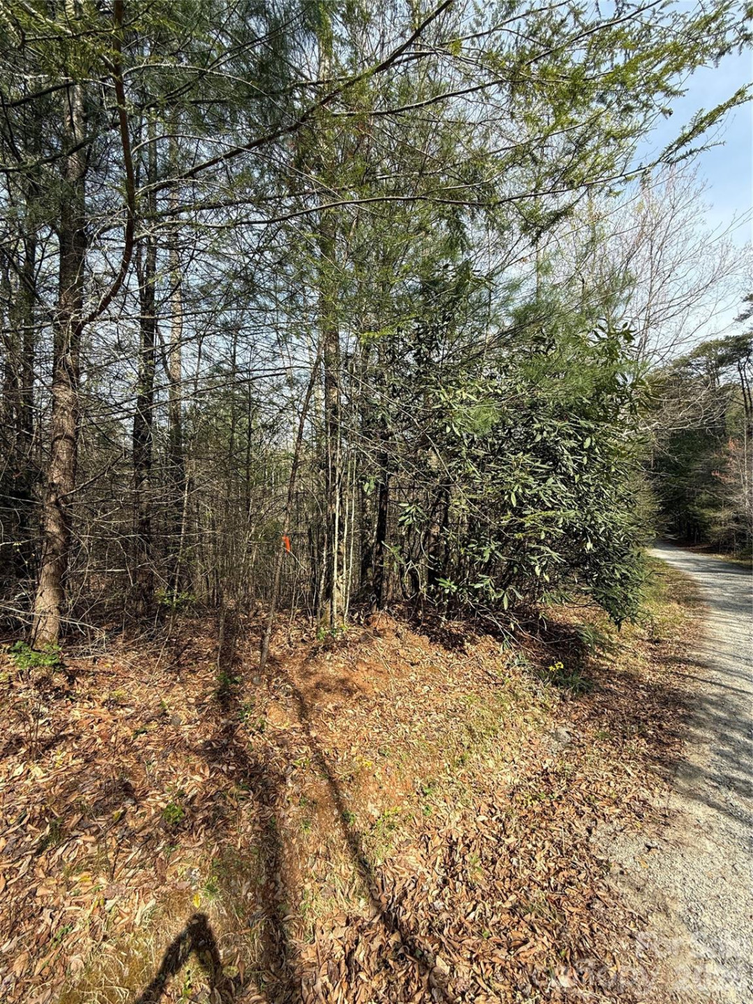 Lot # 6 West Legacy Drive #6 - Photo 45