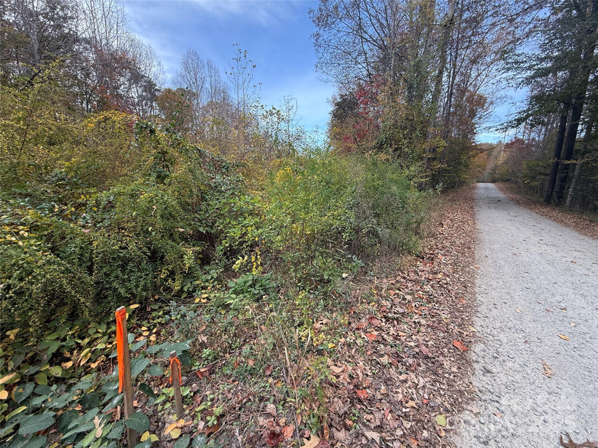 Lot # 6 West Legacy Drive #6 - Photo 5