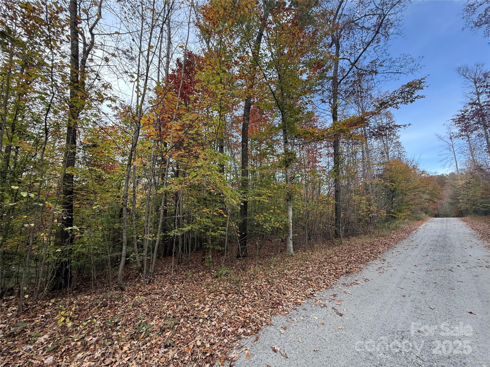 Lot # 6 West Legacy Drive #6 - Photo 6