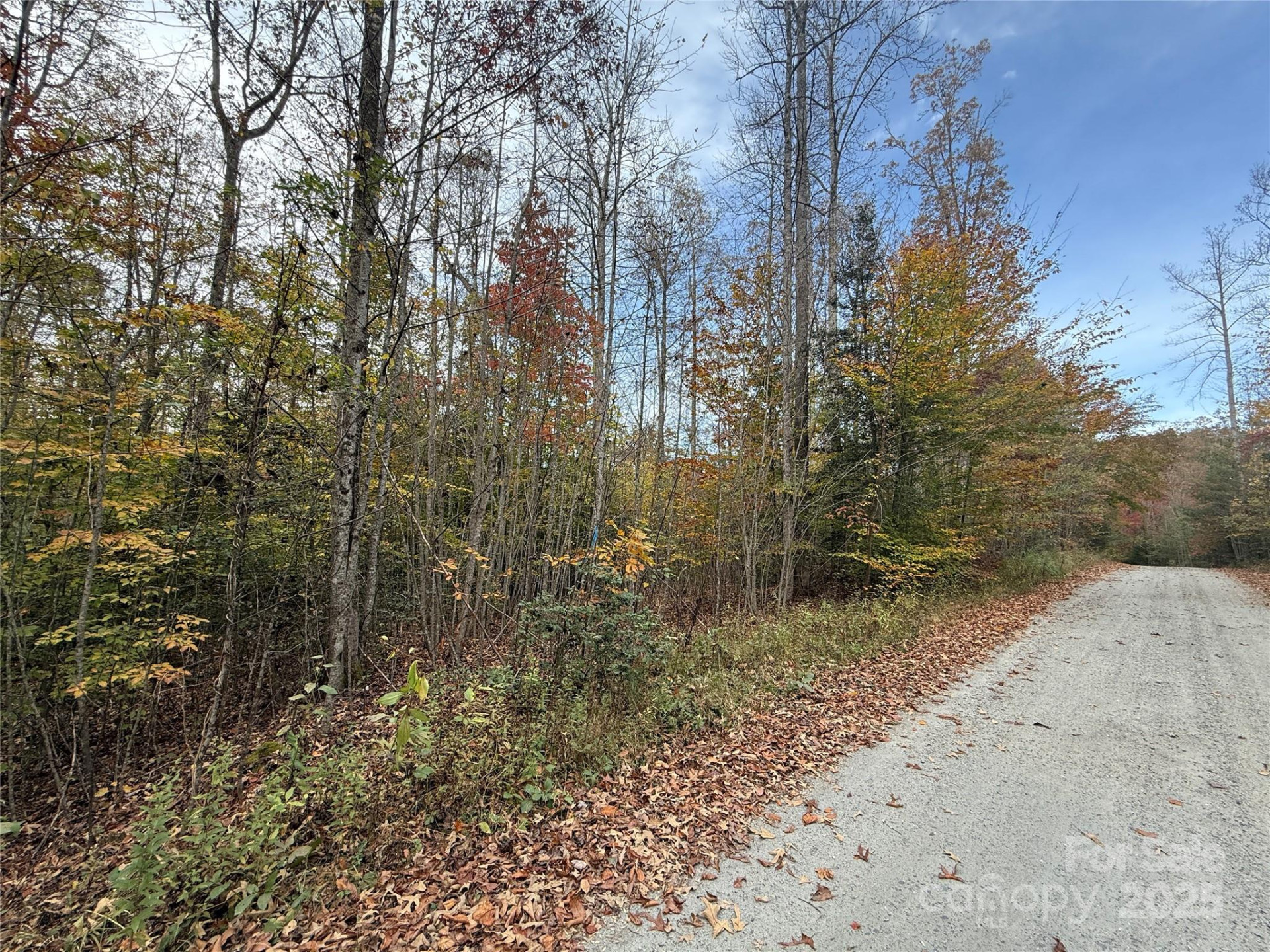 Lot # 6 West Legacy Drive #6 - Photo 7