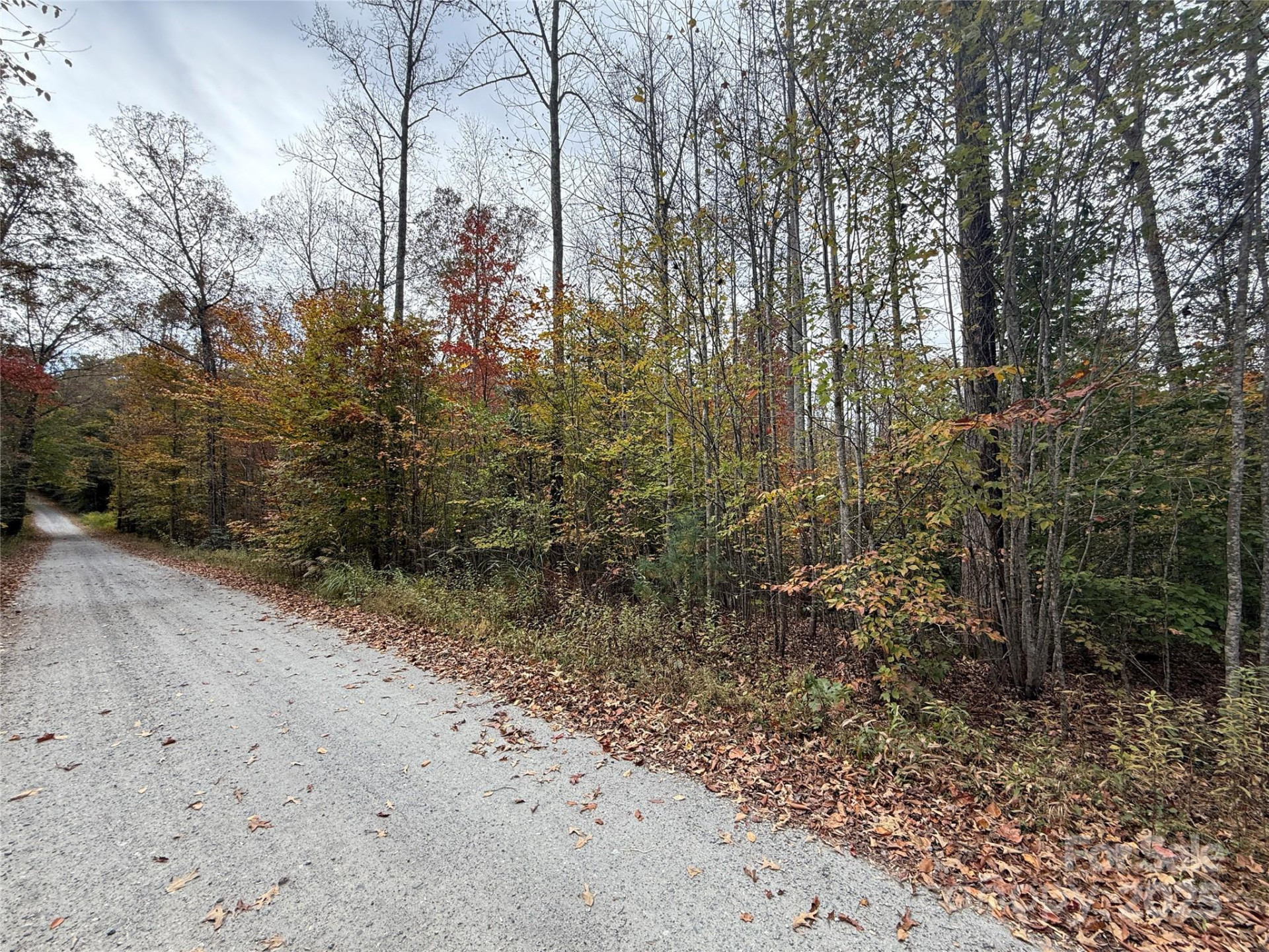 Lot # 6 West Legacy Drive #6 - Photo 8