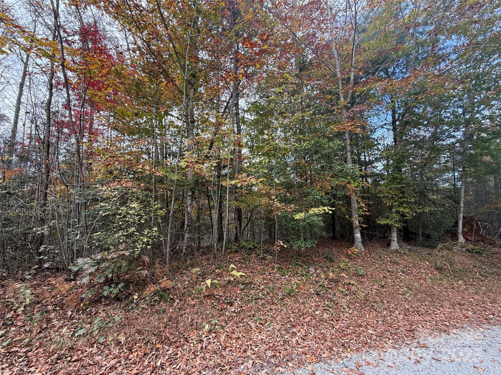 Lot # 6 West Legacy Drive #6 - Photo 10