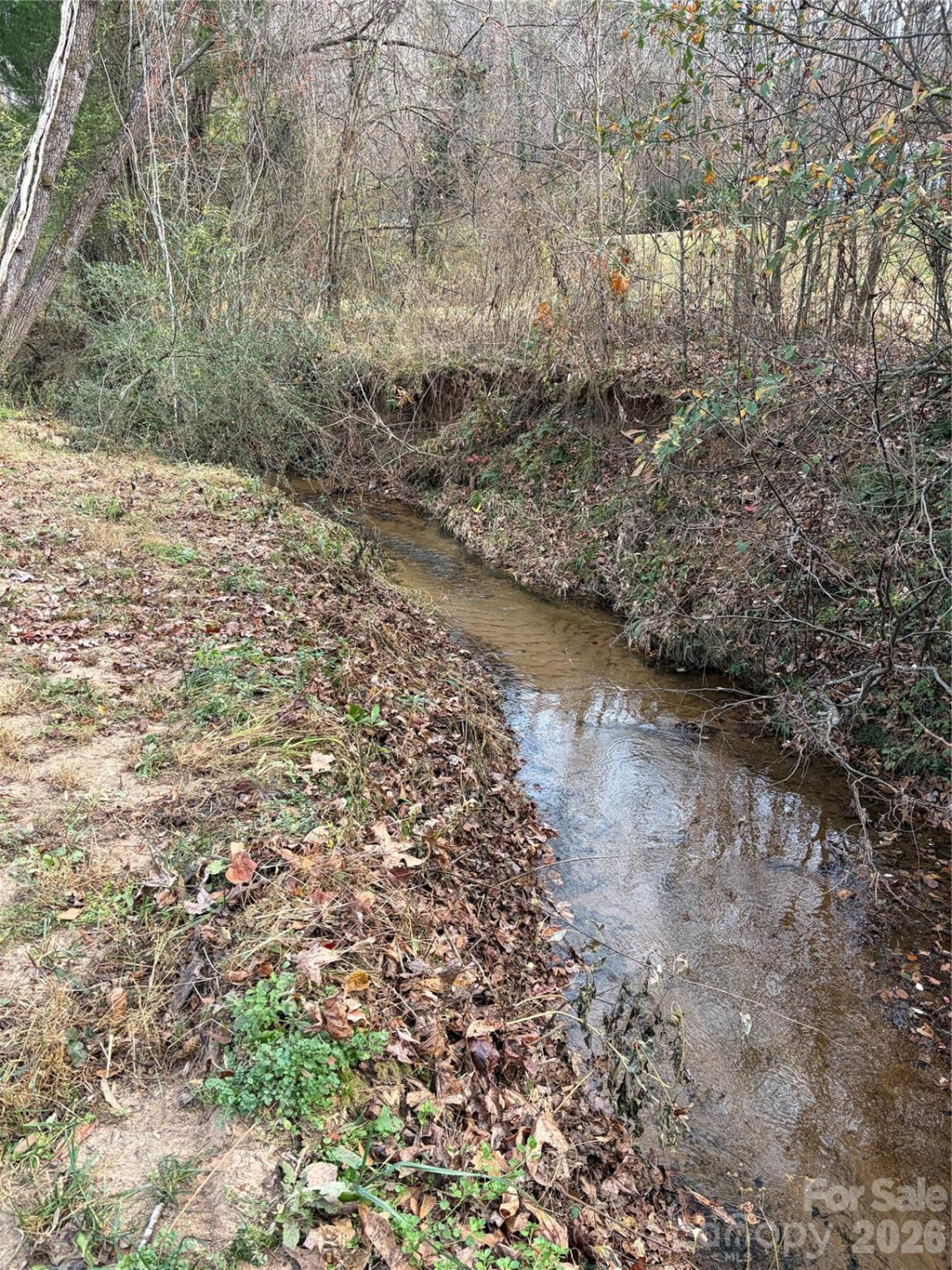 825 Maple Creek Road - Photo 14