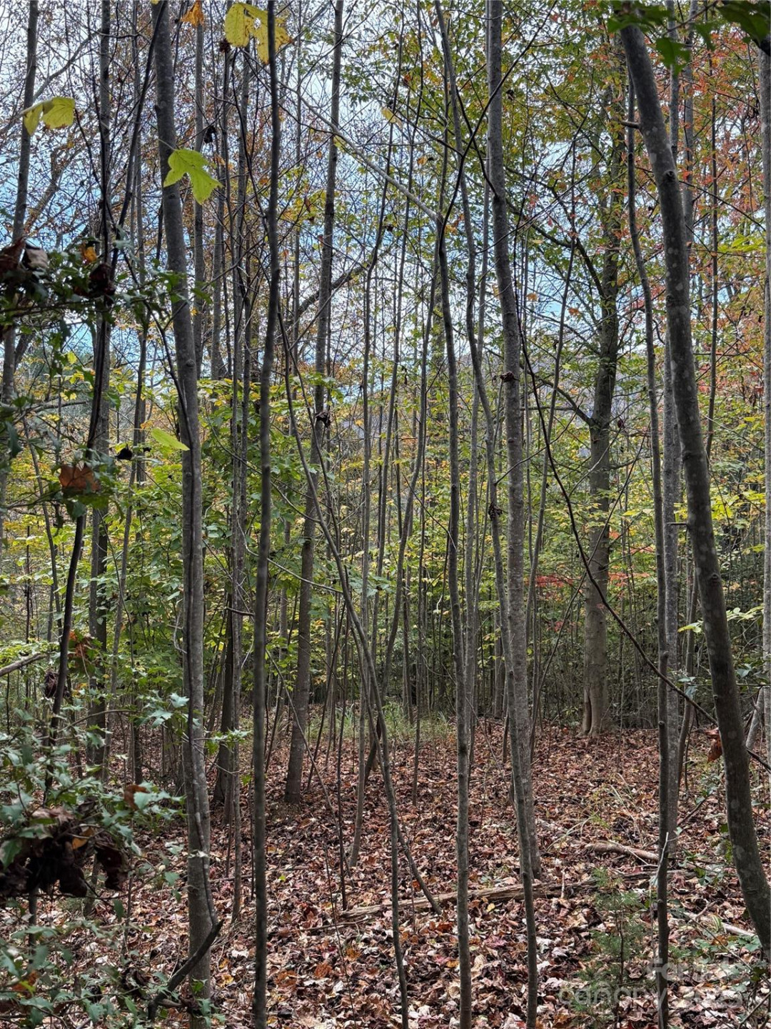 Lot # 7 West Legacy Drive #7 - Photo 11