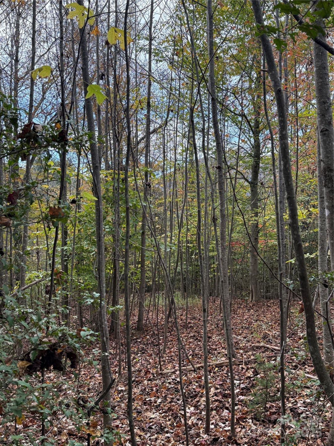 Lot # 7 West Legacy Drive #7 - Photo 12