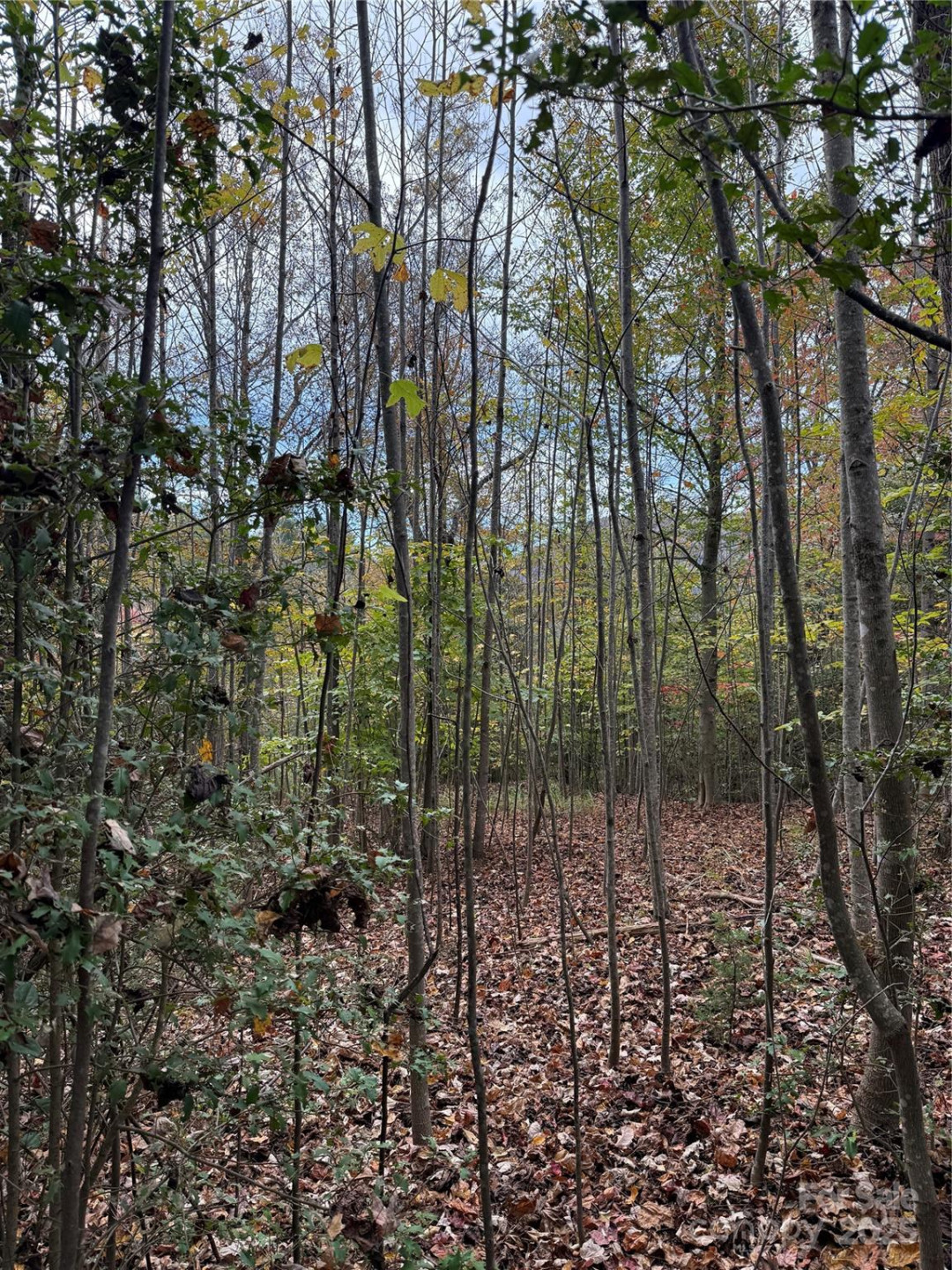 Lot # 7 West Legacy Drive #7 - Photo 13