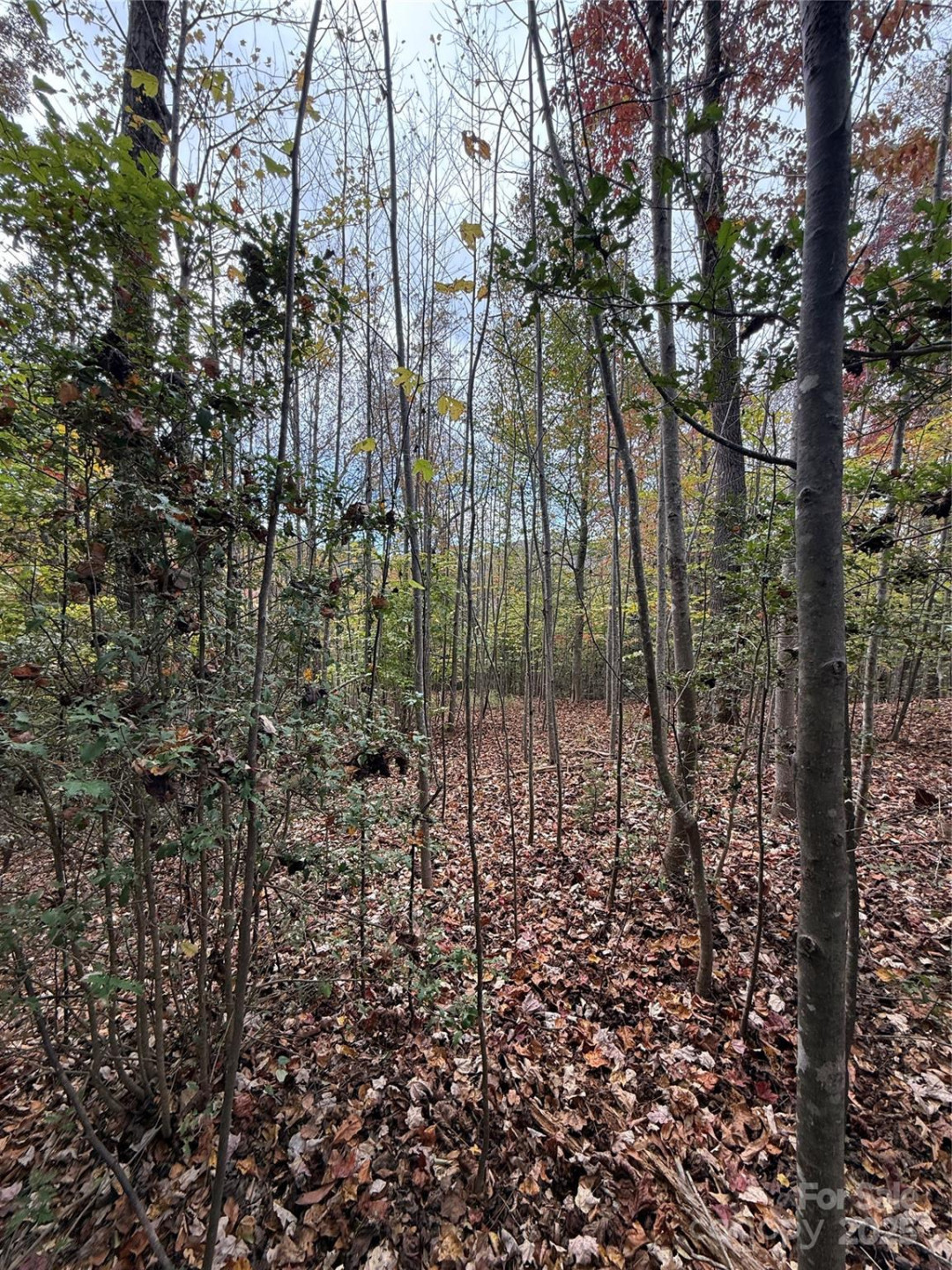 Lot # 7 West Legacy Drive #7 - Photo 14