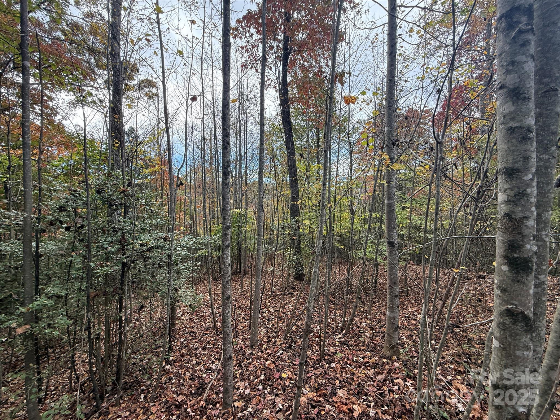 Lot # 7 West Legacy Drive #7 - Photo 15