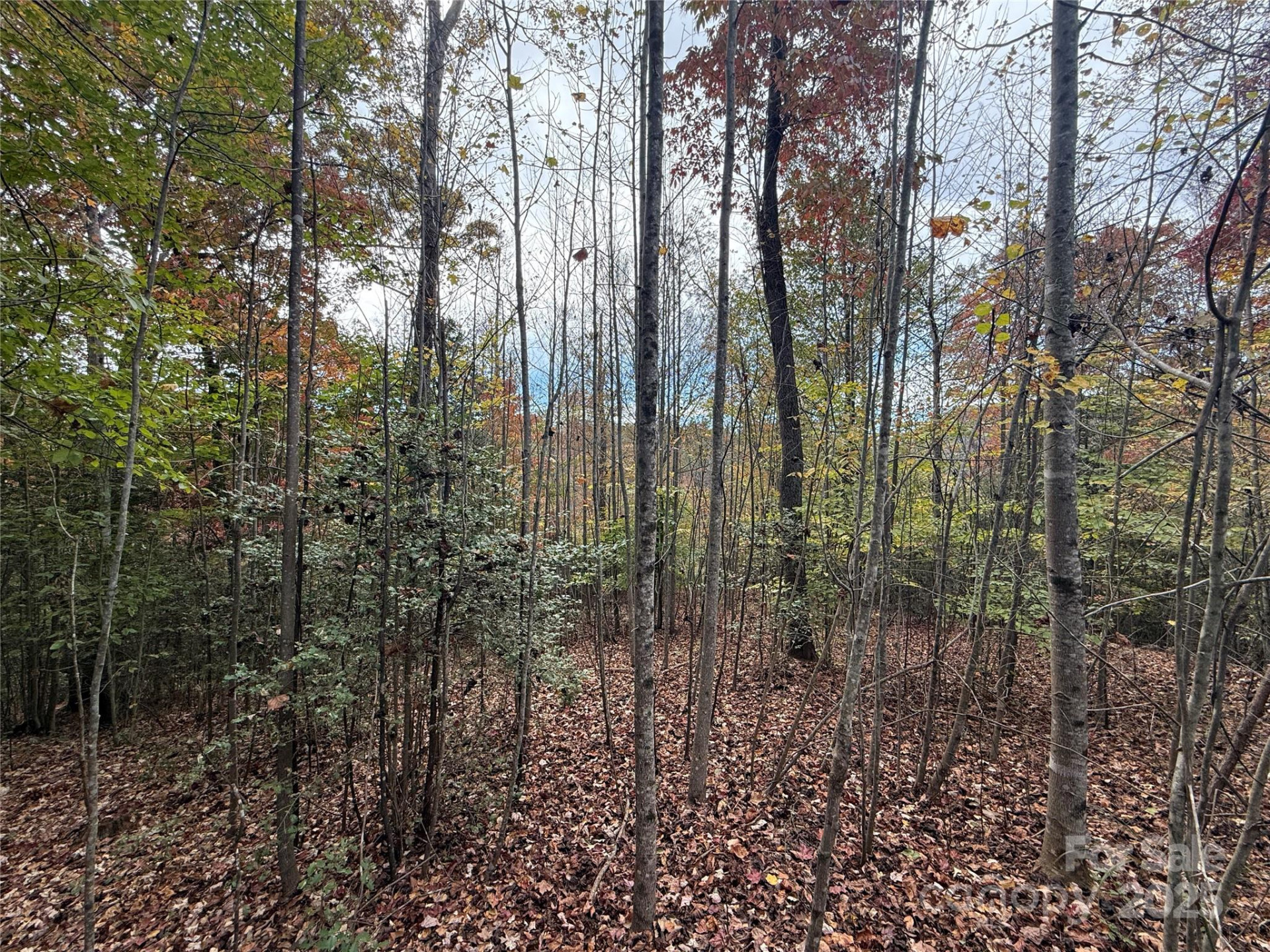 Lot # 7 West Legacy Drive #7 - Photo 16