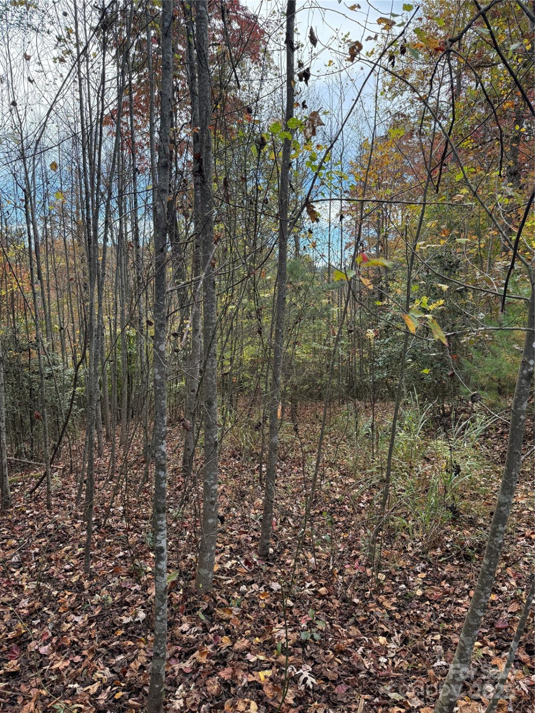 Lot # 7 West Legacy Drive #7 - Photo 17