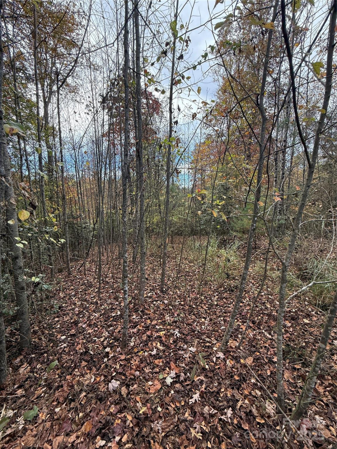 Lot # 7 West Legacy Drive #7 - Photo 18