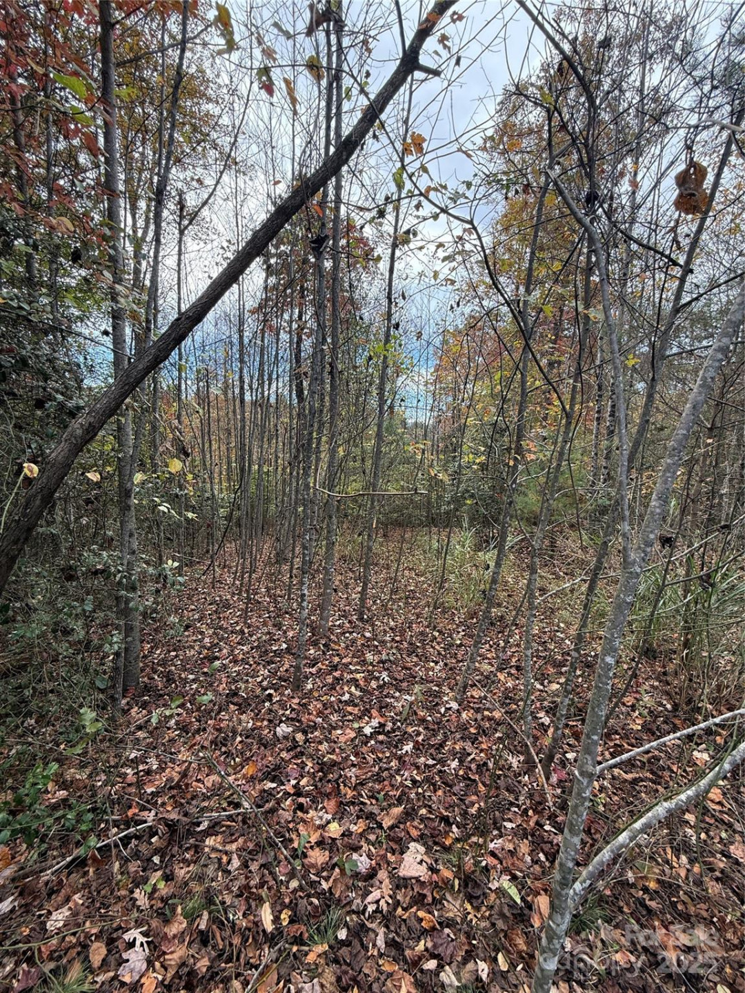 Lot # 7 West Legacy Drive #7 - Photo 19