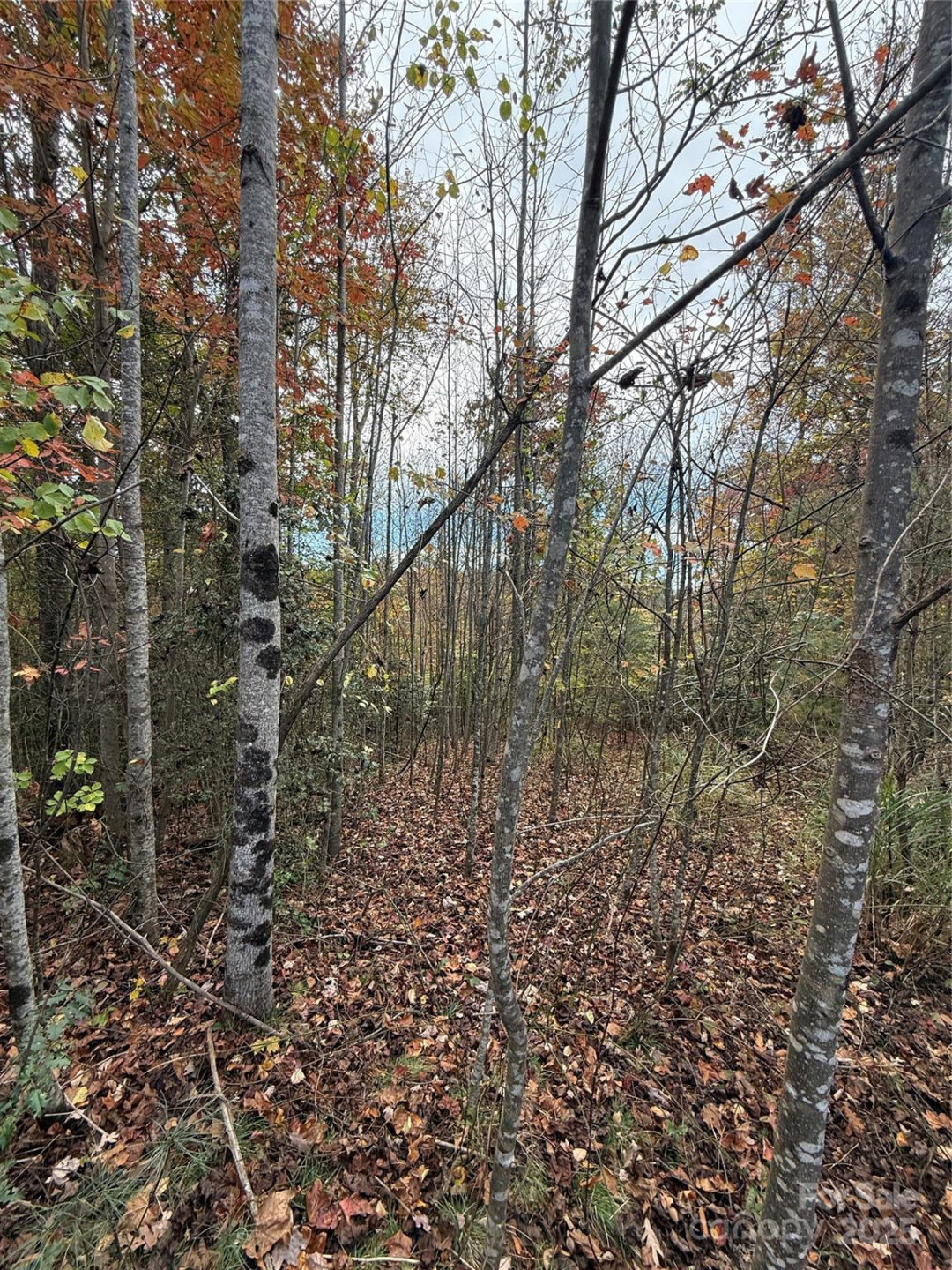 Lot # 7 West Legacy Drive #7 - Photo 20