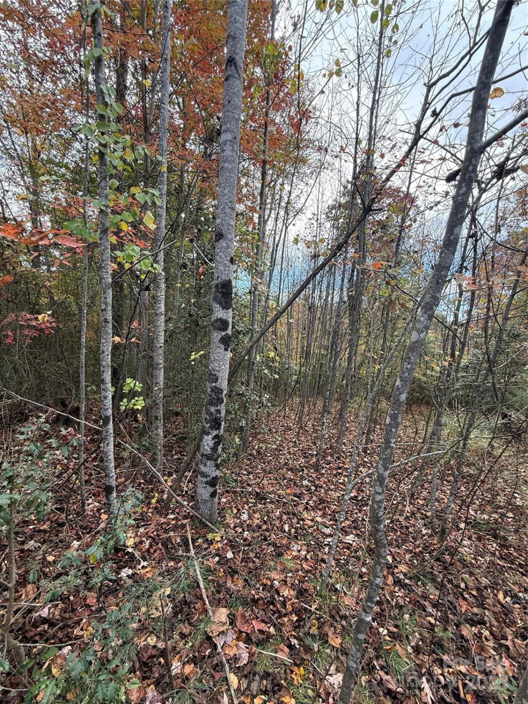 Lot # 7 West Legacy Drive #7 - Photo 21