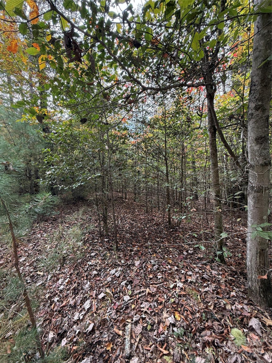 Lot # 7 West Legacy Drive #7 - Photo 22