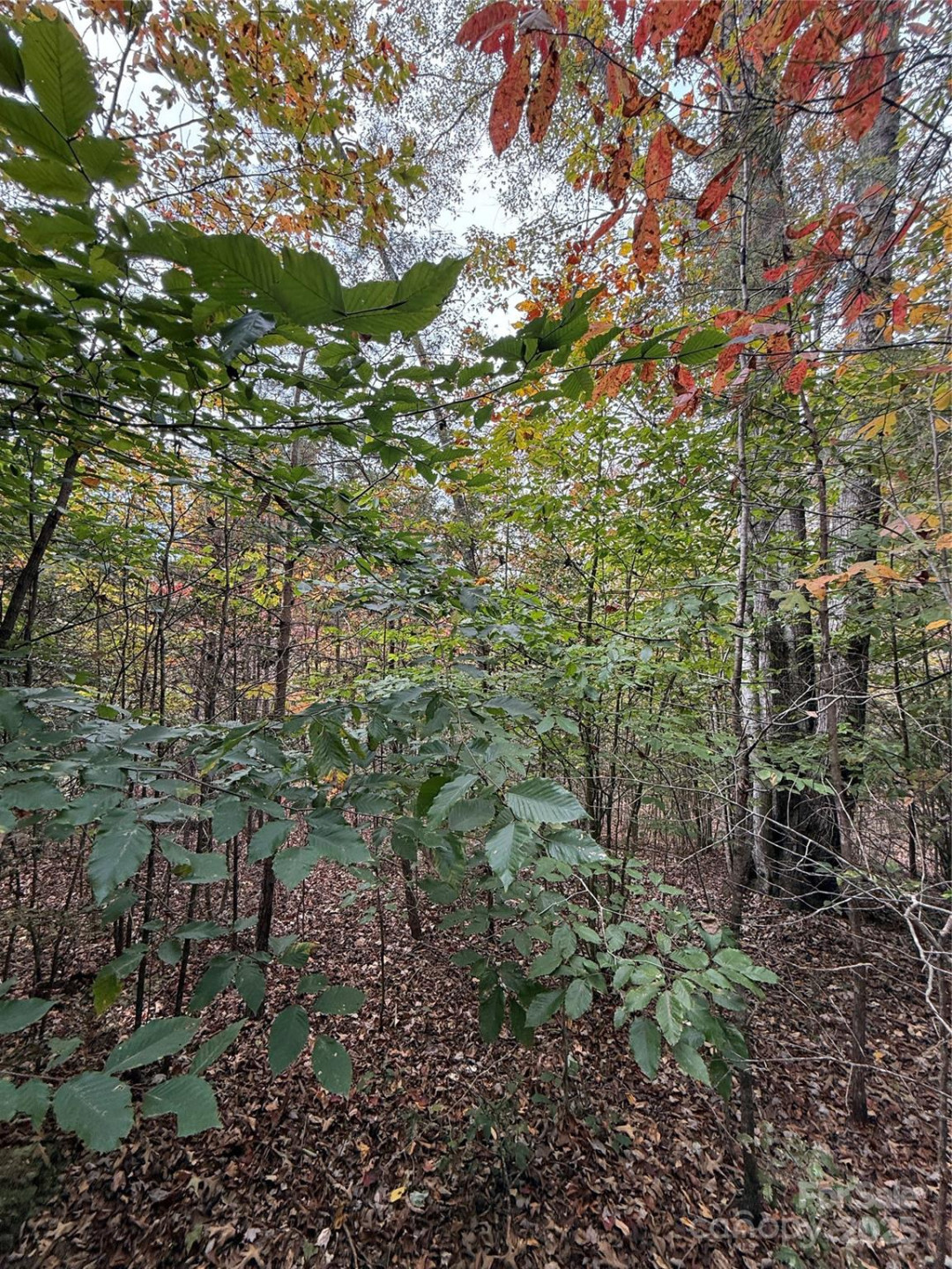 Lot # 7 West Legacy Drive #7 - Photo 23