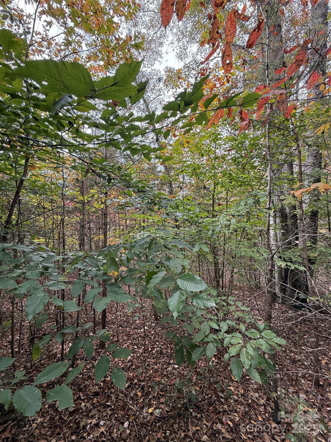 Lot # 7 West Legacy Drive #7 - Photo 24