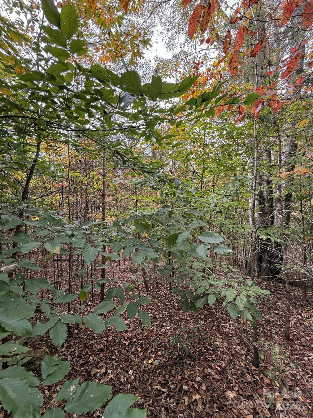 Lot # 7 West Legacy Drive #7 - Photo 25