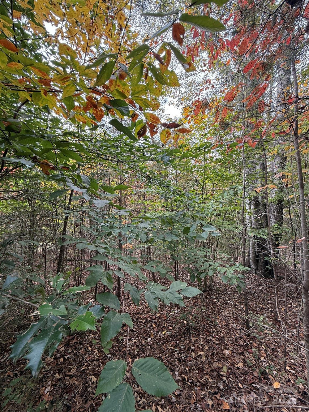 Lot # 7 West Legacy Drive #7 - Photo 26