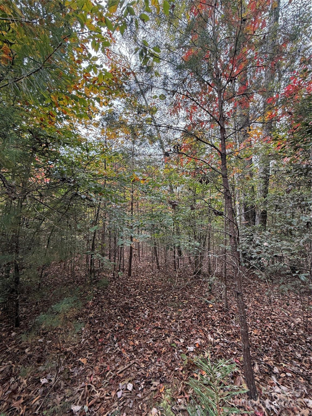 Lot # 7 West Legacy Drive #7 - Photo 27