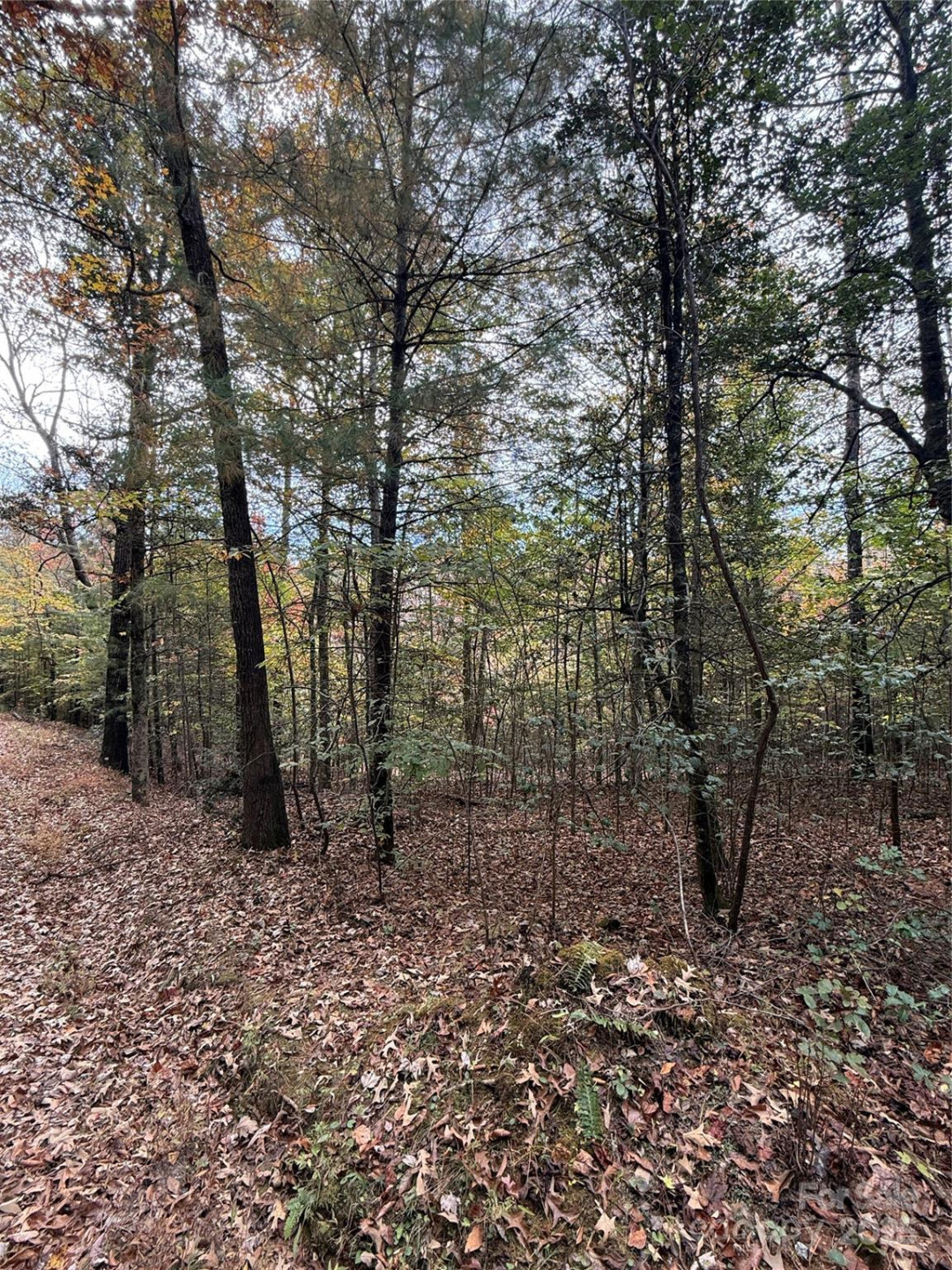 Lot # 7 West Legacy Drive #7 - Photo 28