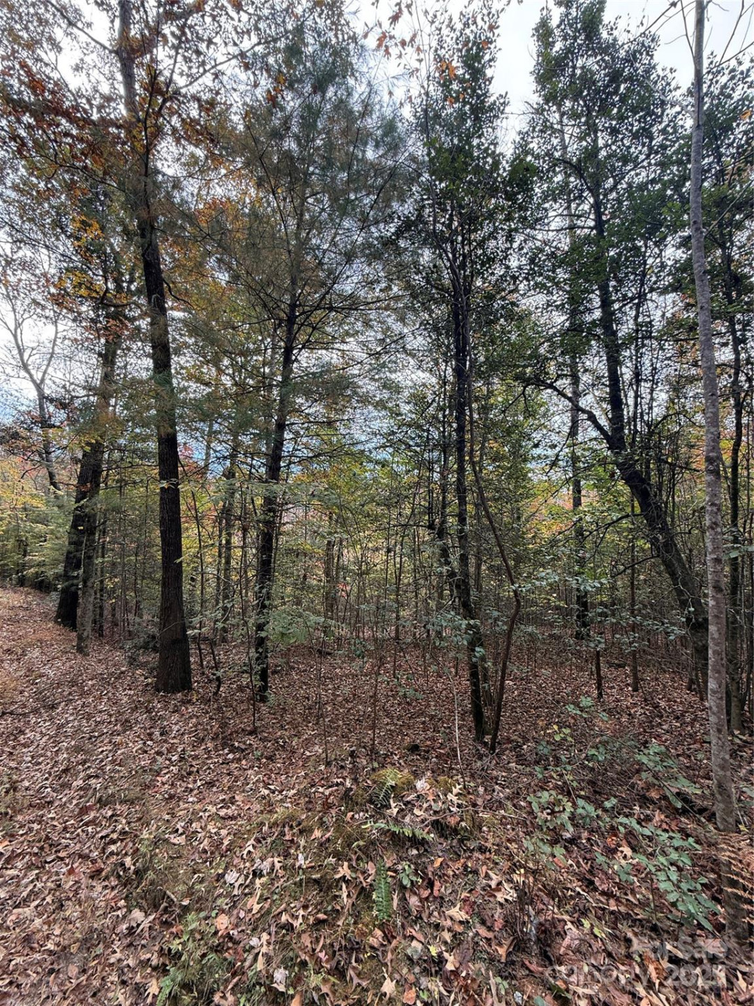 Lot # 7 West Legacy Drive #7 - Photo 29