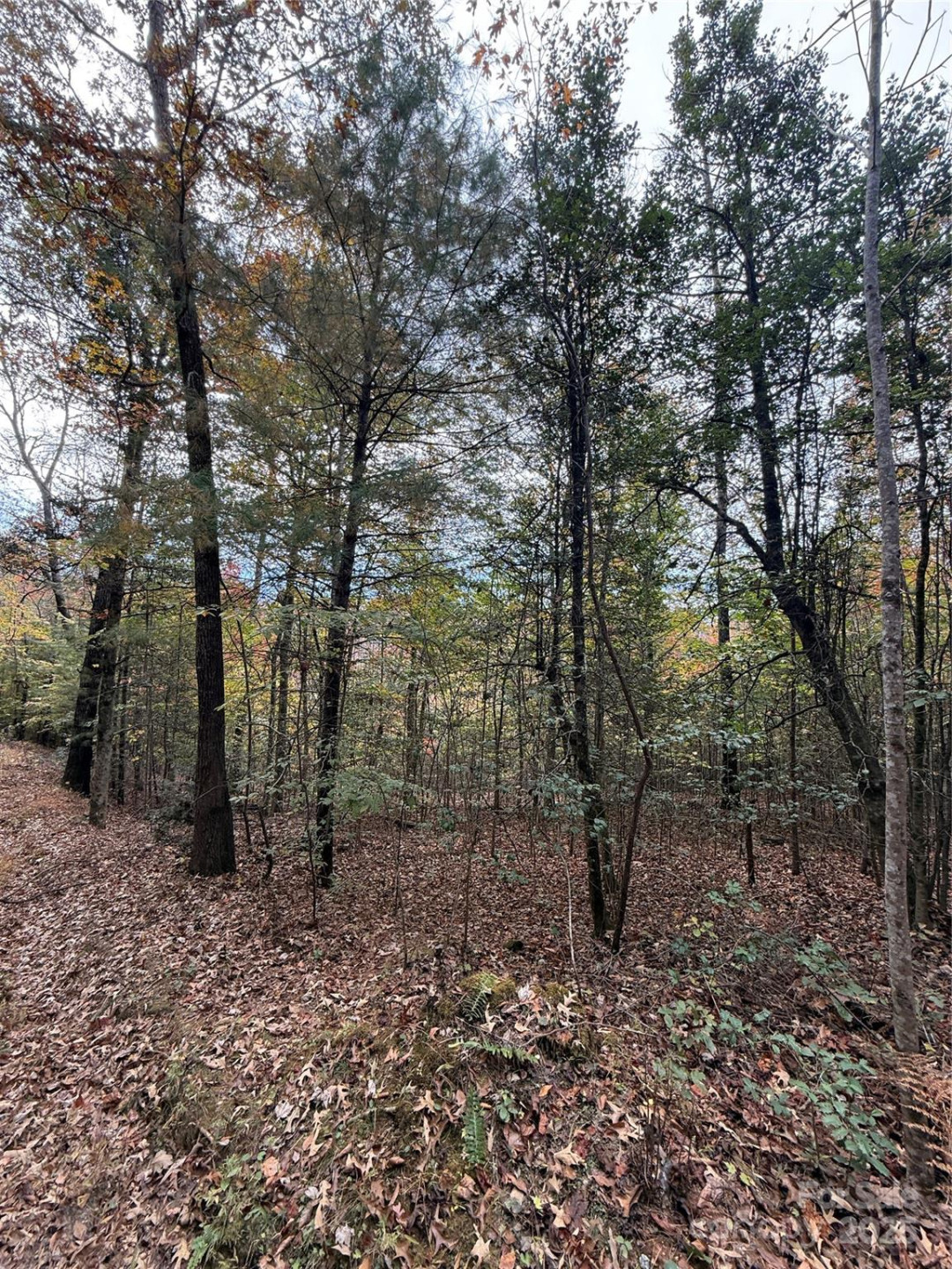 Lot # 7 West Legacy Drive #7 - Photo 30