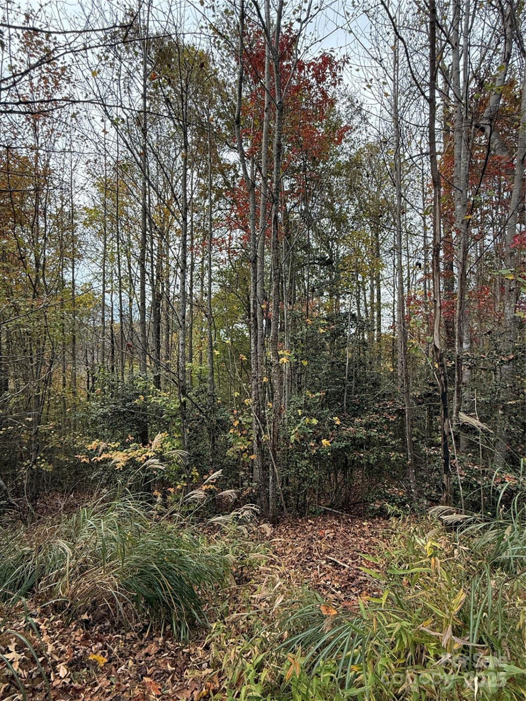 Lot # 7 West Legacy Drive #7 - Photo 4