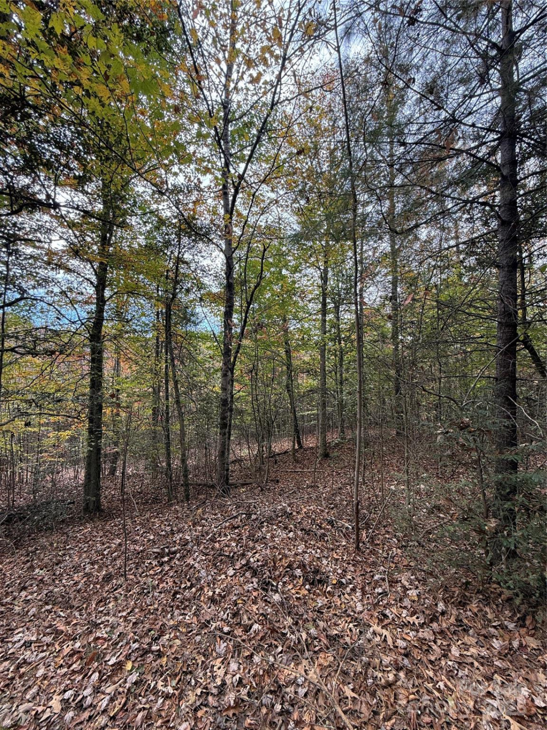 Lot # 7 West Legacy Drive #7 - Photo 31