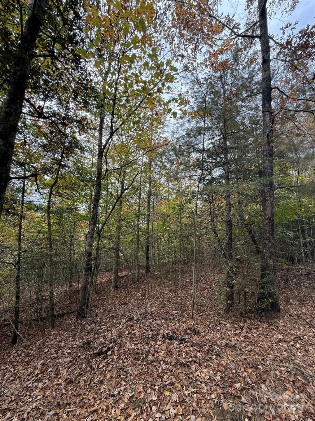 Lot # 7 West Legacy Drive #7 - Photo 32