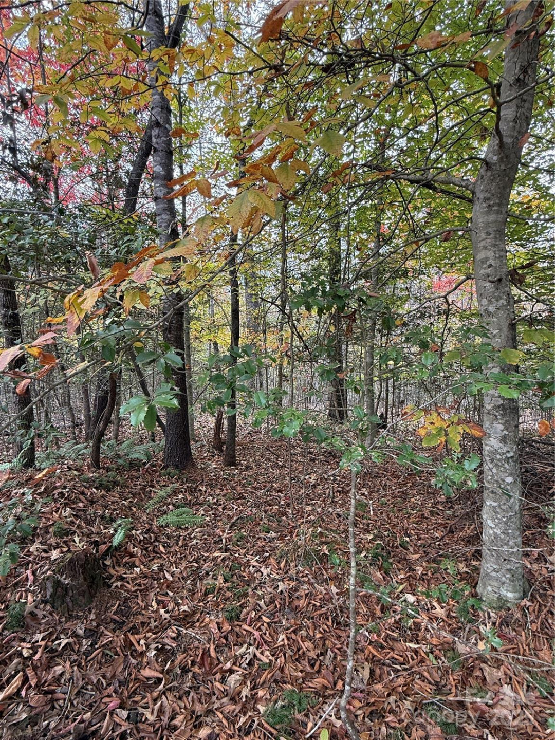 Lot # 7 West Legacy Drive #7 - Photo 33