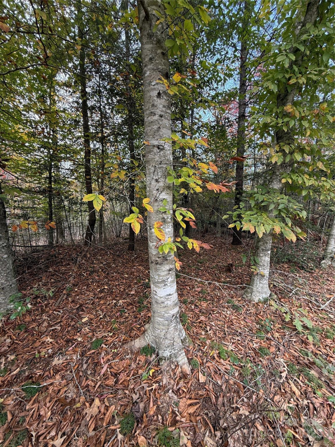 Lot # 7 West Legacy Drive #7 - Photo 34