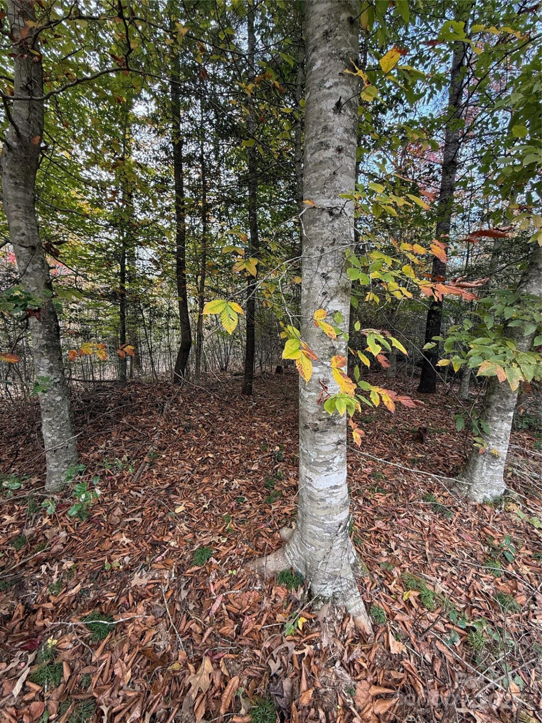 Lot # 7 West Legacy Drive #7 - Photo 35